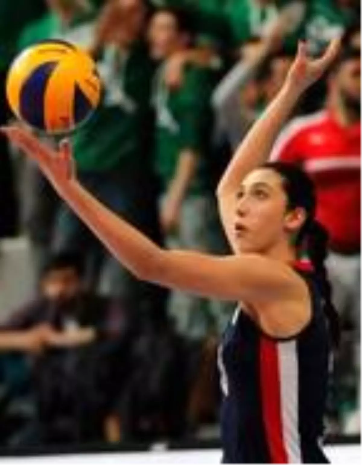 Nilüfer Belediyespor'dan filede iki takviye