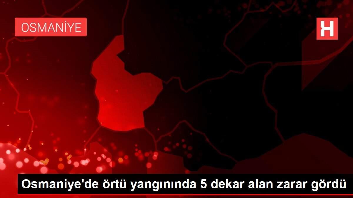 Osmaniye'de örtü yangınında 5 dekar alan zarar gördü Osmaniye'de örtü yangınında 5 dekar alan zarar gördü