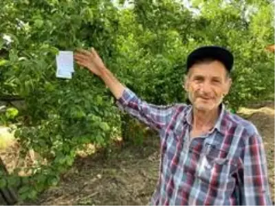 Hamile eşi için erik toplayan baba adayı, 100 lira para ile tarla sahibine not bırakarak helallik istedi Hamile eşi için erik toplayan baba adayı, 100 lira para ile tarla sahibine not bırakarak helallik istedi