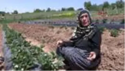 TOKAT Sosyal medyanın konuştuğu çiftin hayali, herkesin bir gün köylere dönmesi
