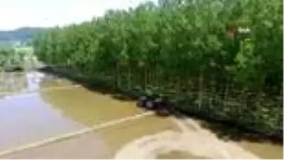 Türkiye'nin en kuzeyi Sinop'ta çeltik ekimi başladı Türkiye'nin en kuzeyi Sinop'ta çeltik ekimi başladı