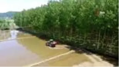 Türkiye'nin en kuzeyi Sinop'ta çeltik ekimi başladı Türkiye'nin en kuzeyi Sinop'ta çeltik ekimi başladı