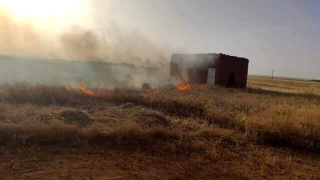 YPG/PKK'lı teröristler, Deyrizor'da sivillere ait tarım arazilerini yaktı YPG/PKK'lı teröristler, Deyrizor'da sivillere ait tarım arazilerini yaktı