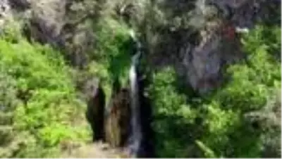 Akdağmadeni ormanları güzelliğiyle hayran bırakıyor