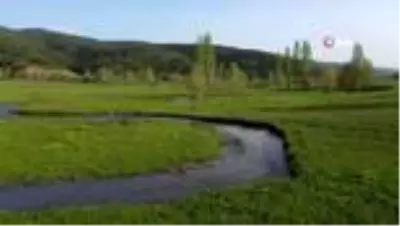 Akdağmadeni ormanları güzelliğiyle hayran bırakıyor