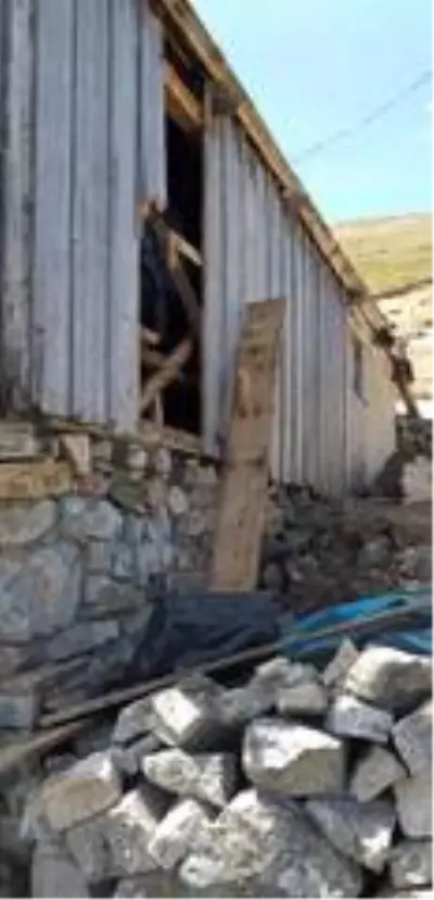Ayılar Tarkan'ın yaylasını mesken tuttu