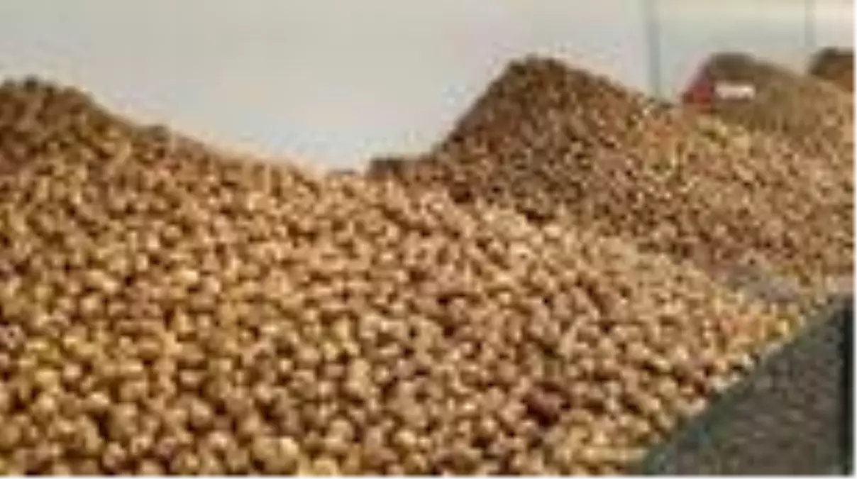 Bayramda sokağa çıkma kısıtlaması kuruyemişe ilgiyi artırdı