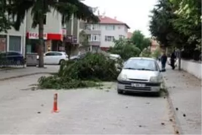 Bolu'da, şiddetli rüzgar 15 metrelik ağacın üst kısmını yola devirdi Bolu'da, şiddetli rüzgar 15 metrelik ağacın üst kısmını yola devirdi