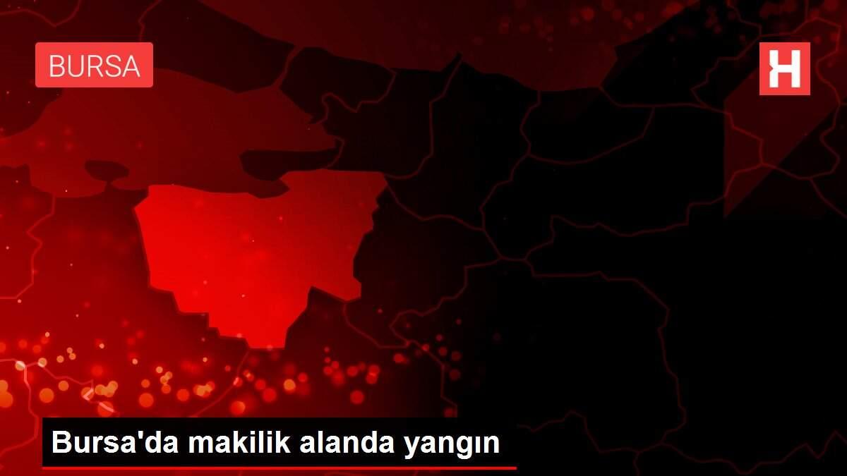 Bursa'da makilik alanda yangın Bursa'da makilik alanda yangın