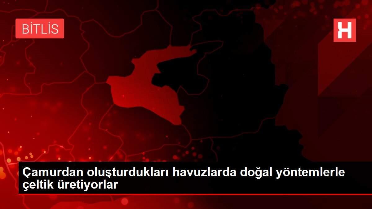 Çamurdan oluşturdukları havuzlarda doğal yöntemlerle çeltik üretiyorlar