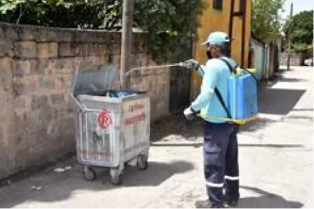 Ceyhan'da sinekle mücadele