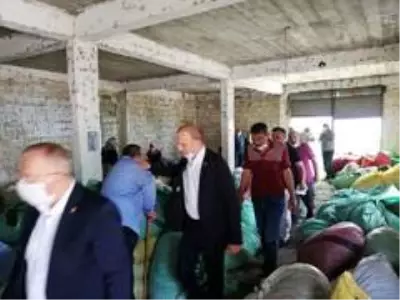 CHP Giresun Milletvekili Tığlı, yaş çay fiyatını iyi buldu, kotayı eleştirdi