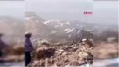 DENİZLİ Çöpe atılan köpek cesetleri tepki yarattı DENİZLİ Çöpe atılan köpek cesetleri tepki yarattı