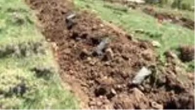 Erzurum'da sağlık çalışanları için hatıra ormanı oluşturuldu Erzurum'da sağlık çalışanları için hatıra ormanı oluşturuldu