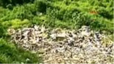 Fotoğraf çektirirken 150 metreden uçuruma düşen genç kadın, ağır yaralandı Fotoğraf çektirirken 150 metreden uçuruma düşen genç kadın, ağır yaralandı