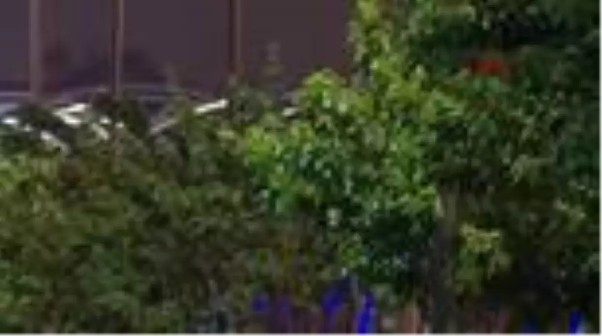 İSTANBUL'DA LODOS ETKİLİ OLUYOR