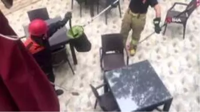 İstanbul’un göbeğinde yılan paniği