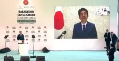 Japonya Başbakanı Abe: