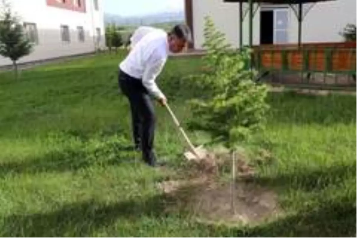 Karantina yurduna fidanlar dikildi