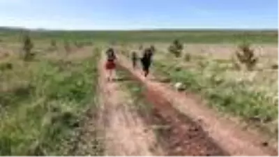 Kars'ta çocuklar parka değil, fidan dikmeye koştu Kars'ta çocuklar parka değil, fidan dikmeye koştu