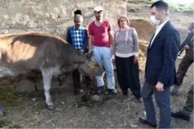 Kaykamak Doğramacı'dan 'Sarı Kız'ın sahibine ziyaret