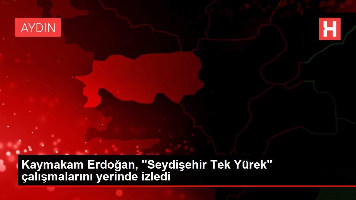 Kaymakam Erdoğan,