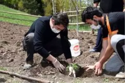 Kaymakam Mete, Al Köyünde sebze fidesi dikimine katıldı