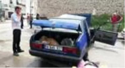 Kaza yapan otomobilin bagajında 'buzağı' sürprizi