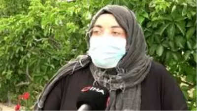 Öğrenciler biberonla besledikleri yavru kedileri başı kesilmiş halde buldu
