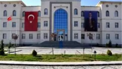 Kırıkkale'de öldürülen kediler için soruşturma başlatıldı