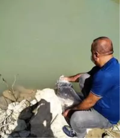 Malatya'da göletlere 50 bin balık bırakıldı Malatya'da göletlere 50 bin balık bırakıldı
