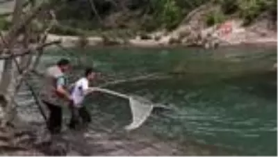 Misinaya takılan gri balıkçıl kuşu kurtarıldı Misinaya takılan gri balıkçıl kuşu kurtarıldı