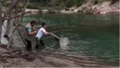 Misinaya takılan gri balıkçıl kuşu kurtarıldı Misinaya takılan gri balıkçıl kuşu kurtarıldı