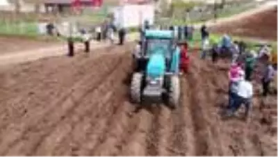 Mor patates ekimi yapıldı