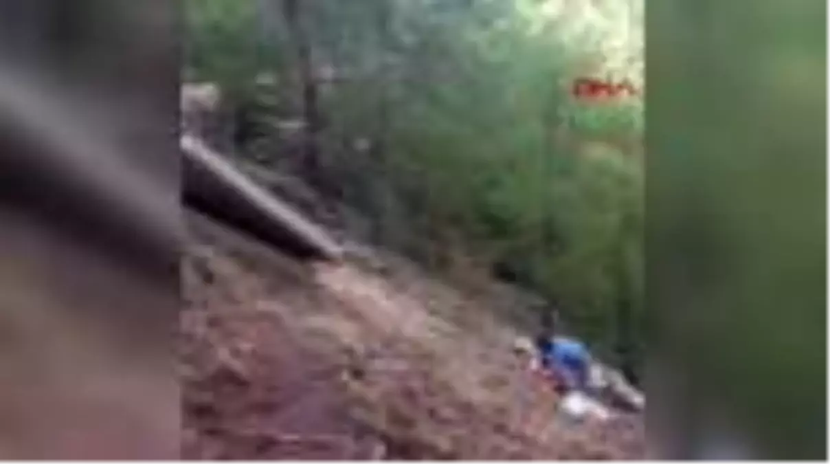 MUĞLA Ormandaki temizlikten koltuk takımından klozete kadar birçok atık çıktı