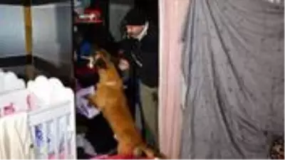Narkotik köpeğini hesaba katmadılar! Taşın altından bile uyuşturucu çıktı Narkotik köpeğini hesaba katmadılar! Taşın altından bile uyuşturucu çıktı