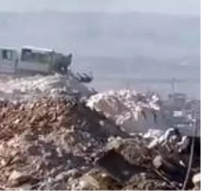Ölü köpeklerin çöpe atıldığı görüntüler hayvanseverlerin tepkisini topladı Ölü köpeklerin çöpe atıldığı görüntüler hayvanseverlerin tepkisini topladı