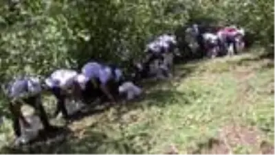 ORDU ÇAYDAN SONRA FINDIKTA İŞÇİ FORMÜLÜ ARANIYOR ORDU ÇAYDAN SONRA FINDIKTA İŞÇİ FORMÜLÜ ARANIYOR