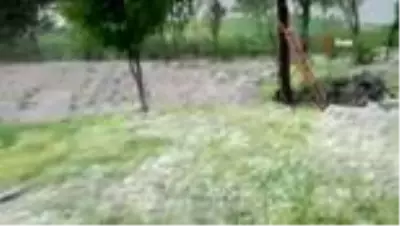 Ordu'nun yüksek kesimlerinde şiddetli dolu yağışı etkili oldu Ordu'nun yüksek kesimlerinde şiddetli dolu yağışı etkili oldu