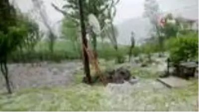 Ordu'nun yüksek kesimlerinde şiddetli dolu yağışı etkili oldu Ordu'nun yüksek kesimlerinde şiddetli dolu yağışı etkili oldu