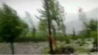 Ordu'nun yüksek kesimlerinde şiddetli dolu yağışı etkili oldu Ordu'nun yüksek kesimlerinde şiddetli dolu yağışı etkili oldu
