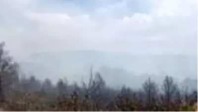 Orman yangını kontrol altına alındı