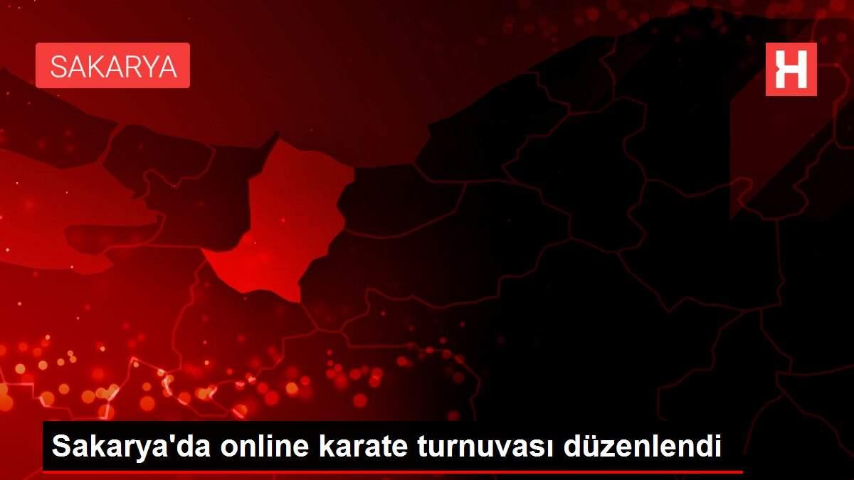 Sakarya'da online karate turnuvası düzenlendi
