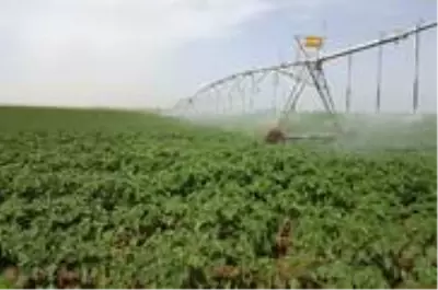 Şanlıurfa'ya 70 milyonluk dev proje Şanlıurfa'ya 70 milyonluk dev proje
