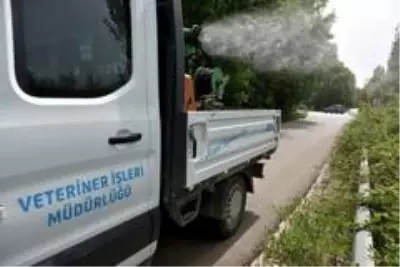 Sineklere karşı ilaçlama sürüyor Sineklere karşı ilaçlama sürüyor