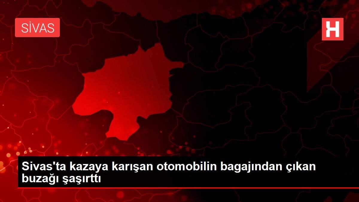 Sivas'ta kazaya karışan otomobilin bagajından çıkan buzağı şaşırttı