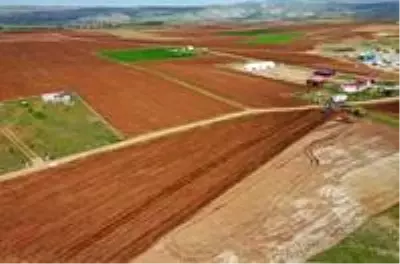 Sivas'ta Mor Patates'in Ekimi Yapıldı