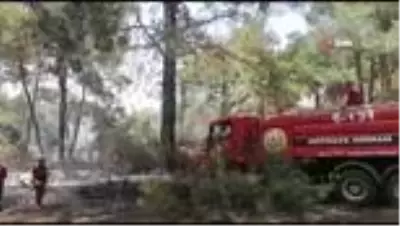 Sorgun çamlığında korkutan yangın