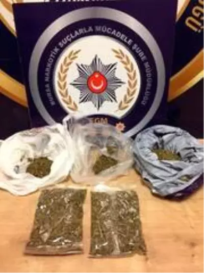 Narkotik köpeğini hesaba katmadılar! Taşın altından bile uyuşturucu çıktı Narkotik köpeğini hesaba katmadılar! Taşın altından bile uyuşturucu çıktı