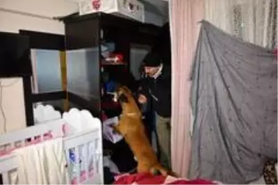 Narkotik köpeğini hesaba katmadılar! Taşın altından bile uyuşturucu çıktı Narkotik köpeğini hesaba katmadılar! Taşın altından bile uyuşturucu çıktı